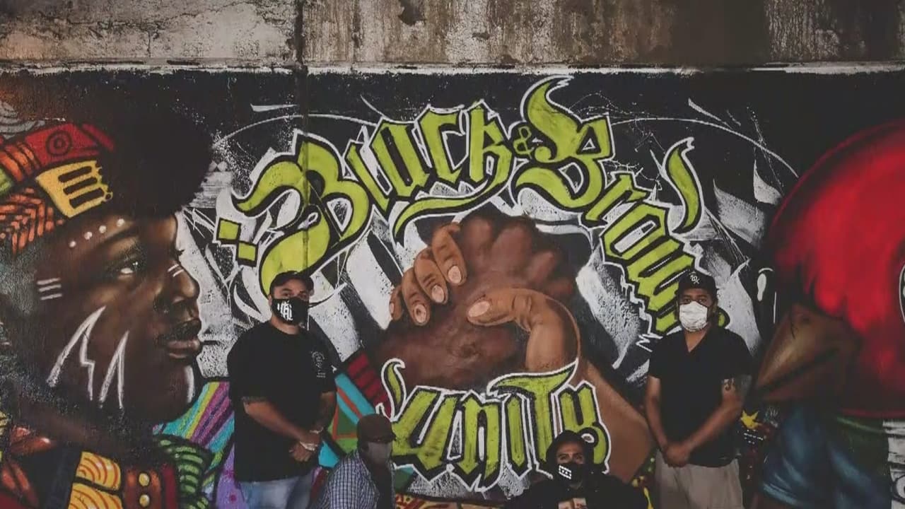 Borran mural que mostraba la unidad entre los latinos y los afroamericanos en Chicago