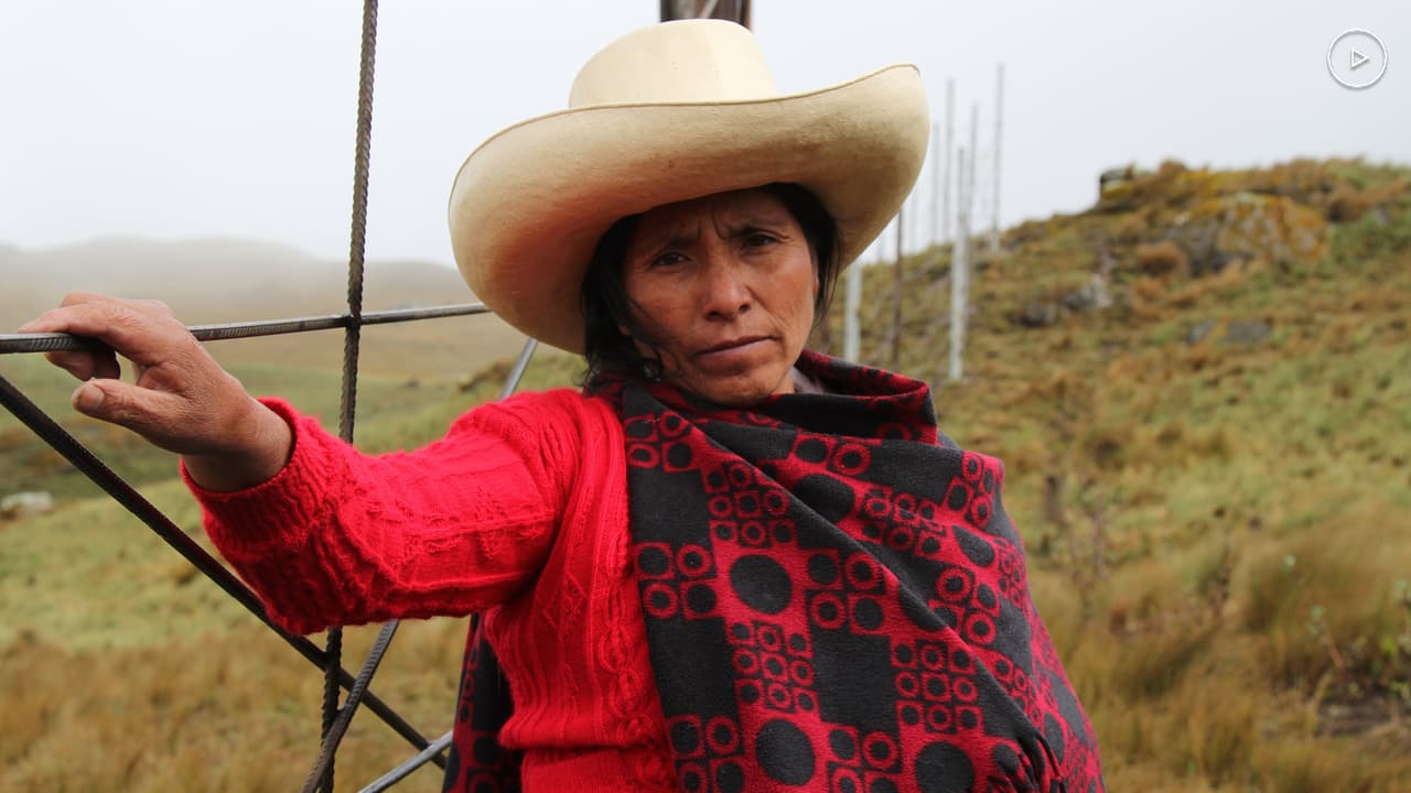 Como Berta Cáceres, la nueva ganadora del  'Nobel Verde' teme por su vida