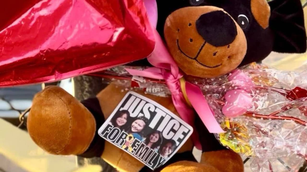 Las autoridades confirmaron que, tras salir de un hogar de acogida y ser reportada como desaparecida, Emily Pike fue hallada sin vida. Sus restos, hallados junto a una carretera, estaban esparcidos en bolsas de basura. Su trágico fallecimiento ha conmocionado a la comunidad de Mesa, donde más de 500 lazos han sido colocados en su honor.