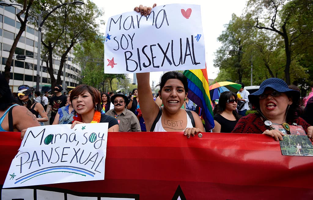 En un recorrido de unos cuatro kilómetros el colectivo reivindicó la diversidad sexual y la igualdad de derechos.