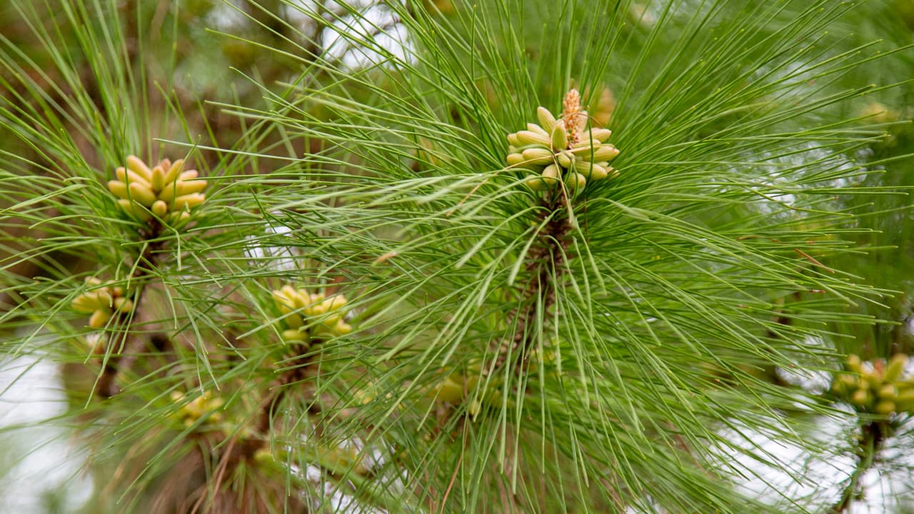 Desde las 6:00 am hasta las 10:00 pm.
