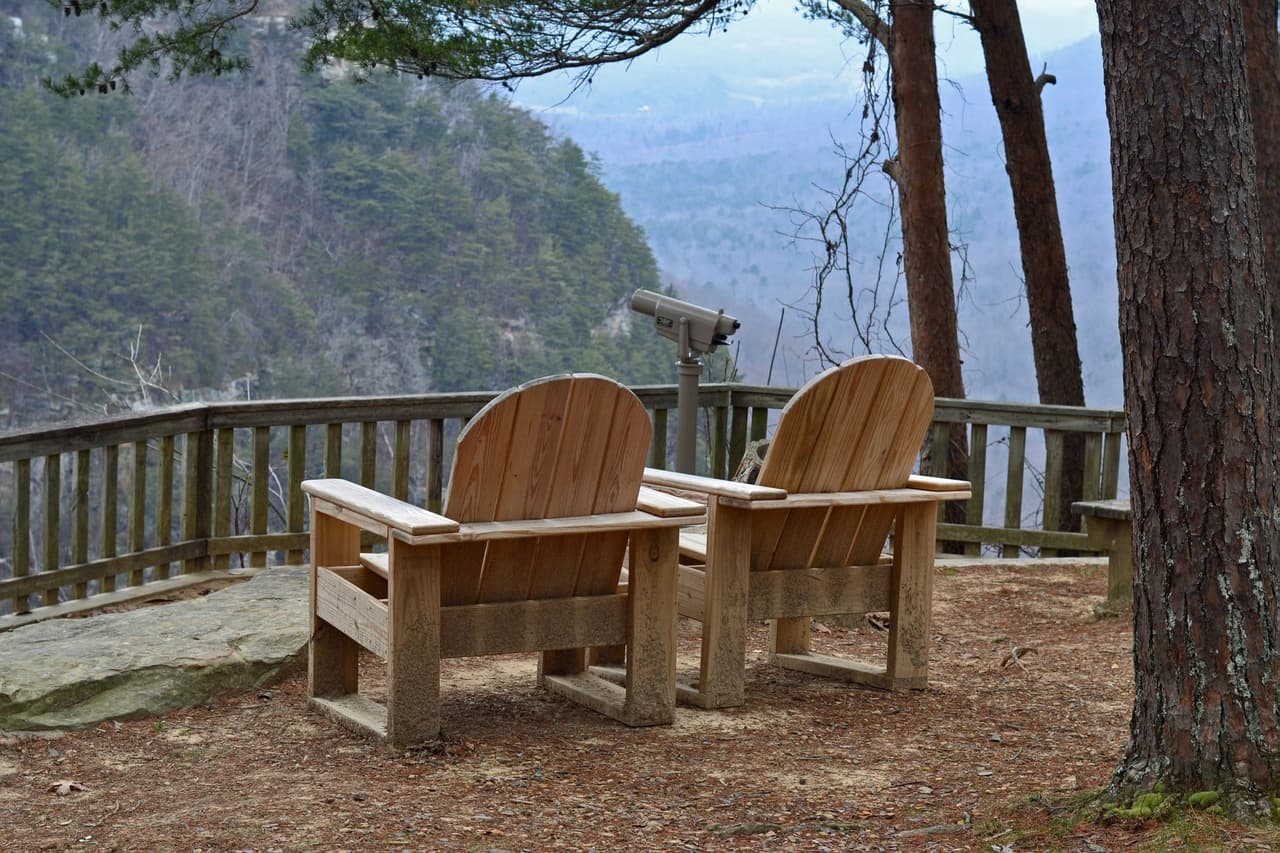 Conoce más sobre Cloudland Canyon, 
<b><a href="https://gastateparks.org/cloudlandcanyon" target="_blank">aquí. </a></b>