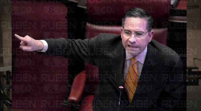 Originalmente era miembro del Partido Popular Democrático (PPD) pero se convirtió en un representante independiente en el 2001.