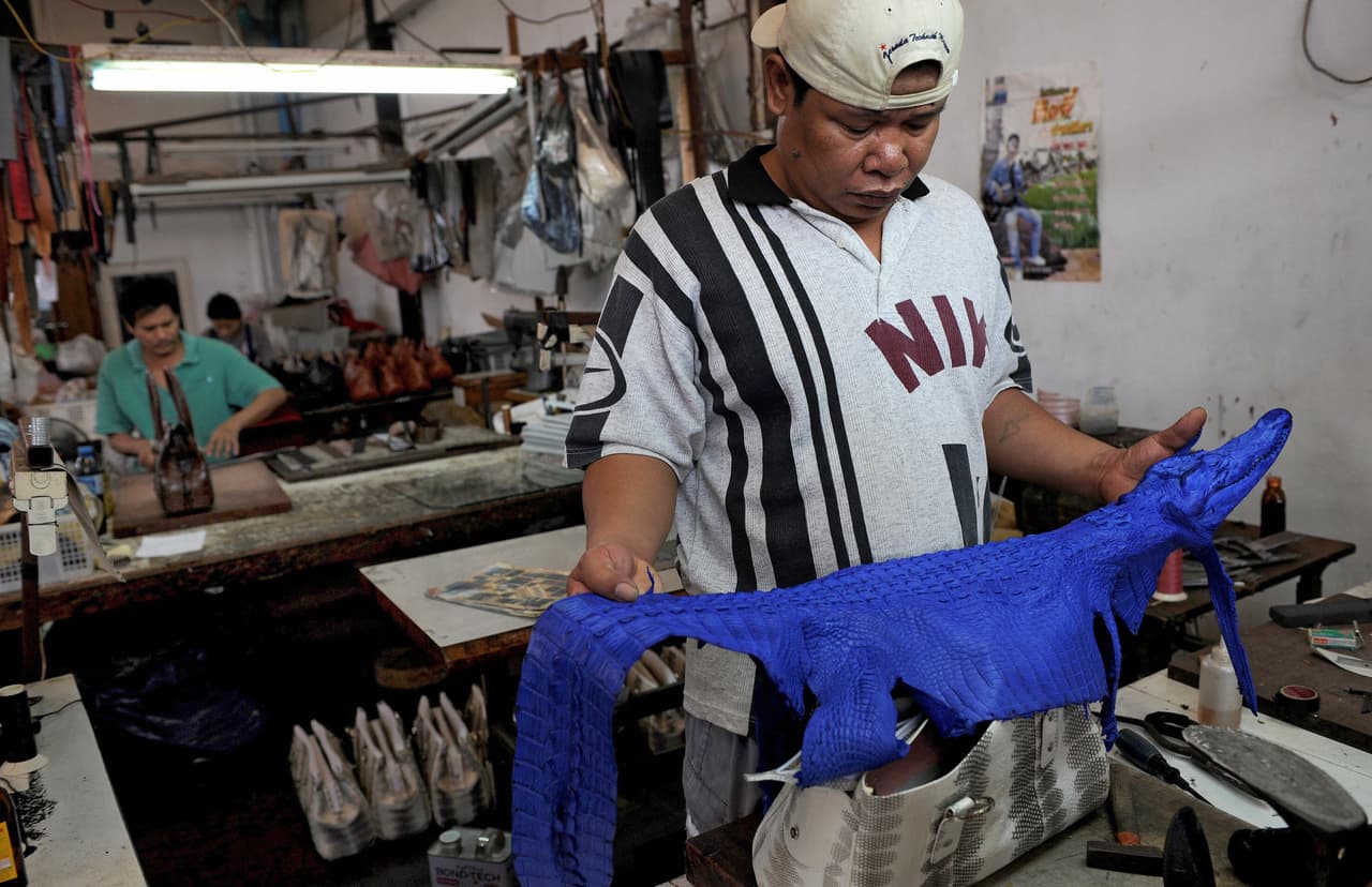 Cada año se venden más de 15 millones de pieles. Si hablamos del tráfico ilegal a nivel mundial, 10 millones son solo de cocodrilos. Aunque en muchos países se ha prohibido cazarlos, en muy pocos se ha limitado la venta de productos fabricados con él.
<br>