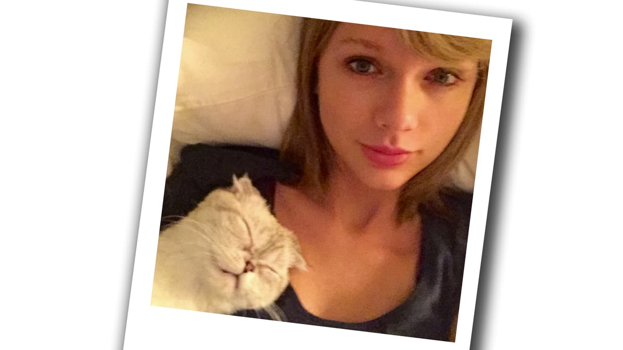 Taylor ha ganado unos 10 Grammys, entre otros premios.