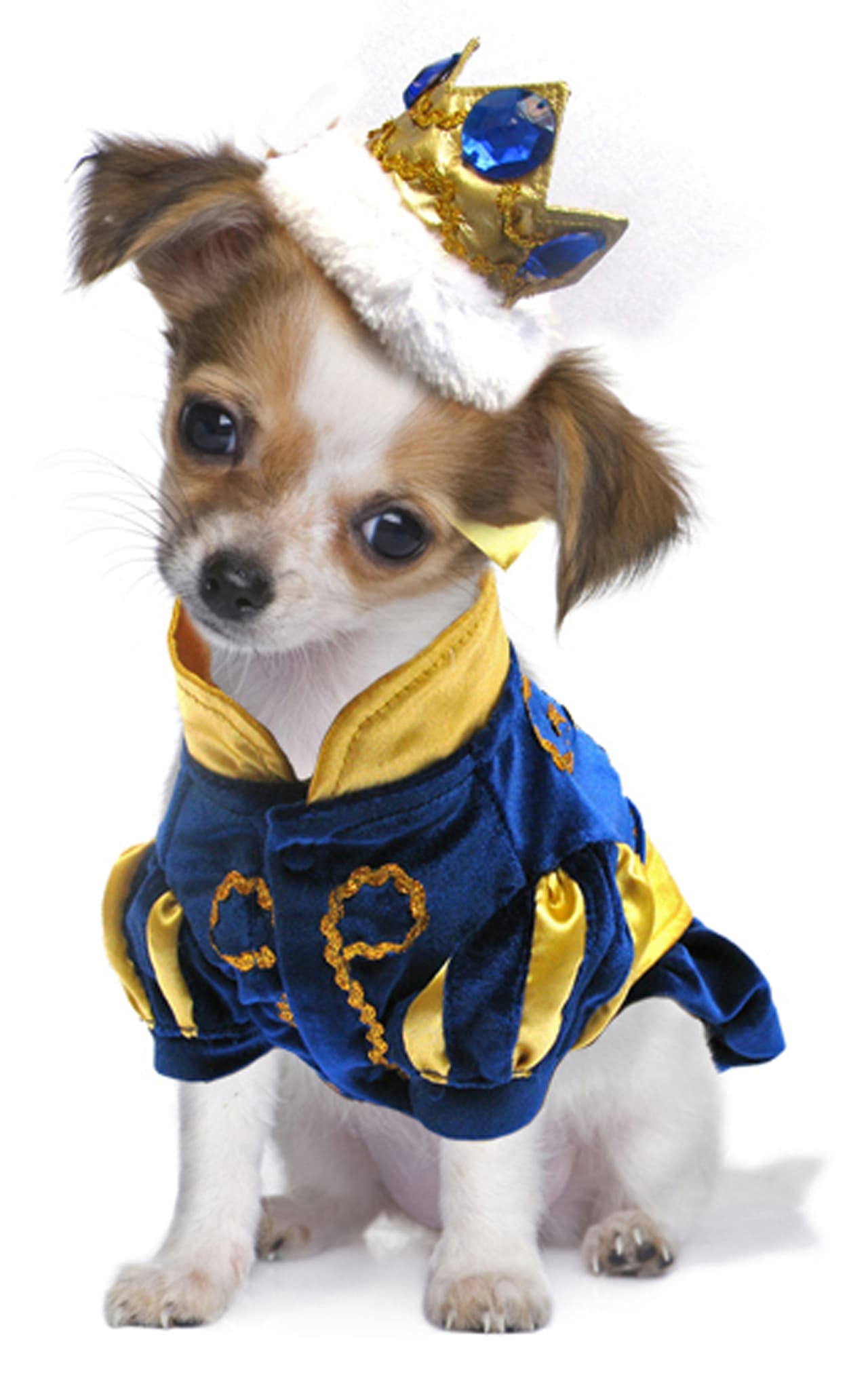 Los pequeños príncipes de la casa se disfrazaron de reyes.