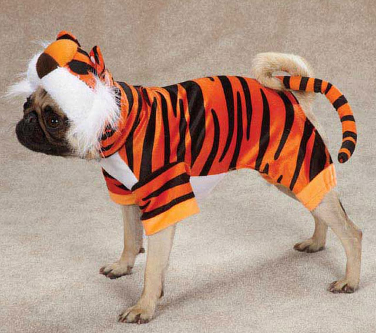 Las rayas y el color naranja están de moda entre los pugs.