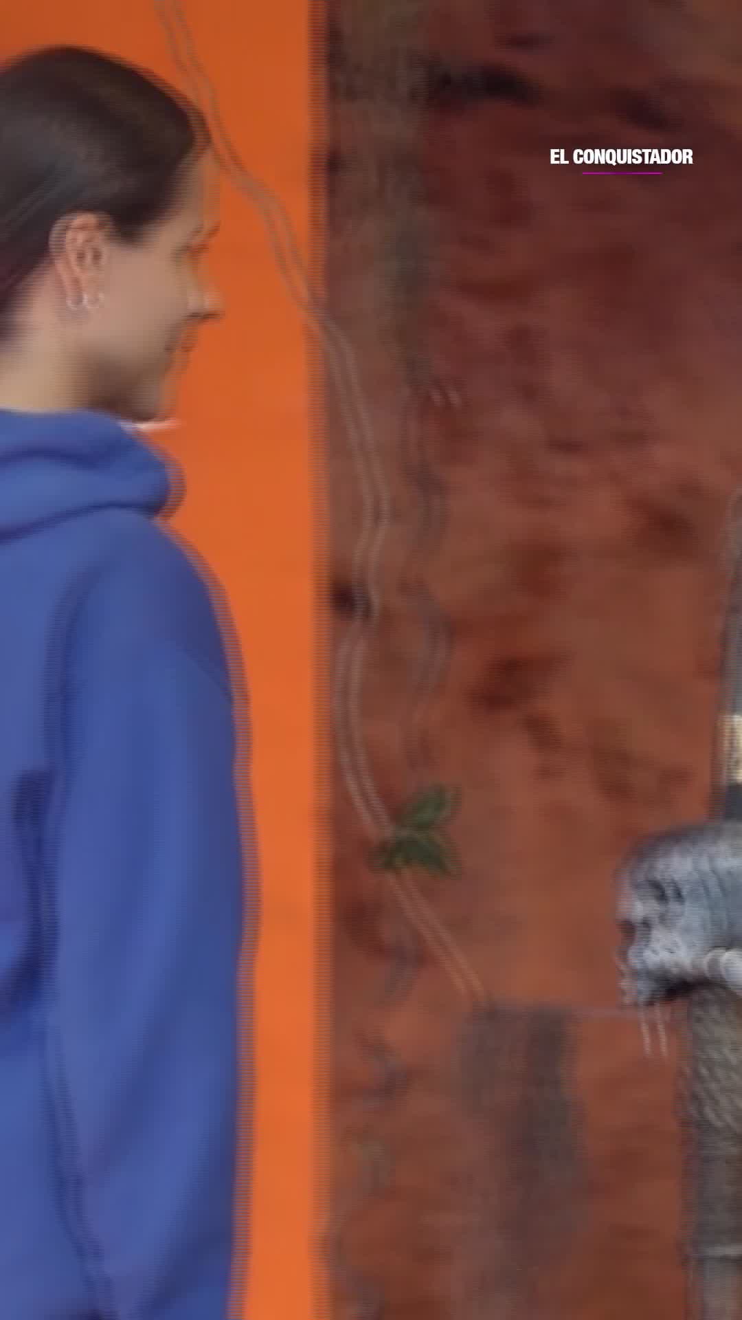 QUERIDA ENEMIGA #ElConquistador