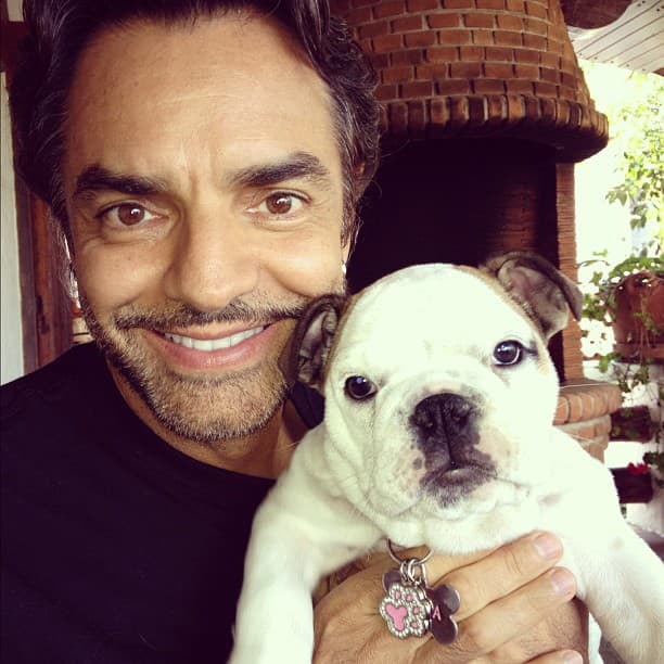 Durante el Perrotón 2016 confesó que en una época de su vida tuvo ¡16 perros viviendo en su departamento!