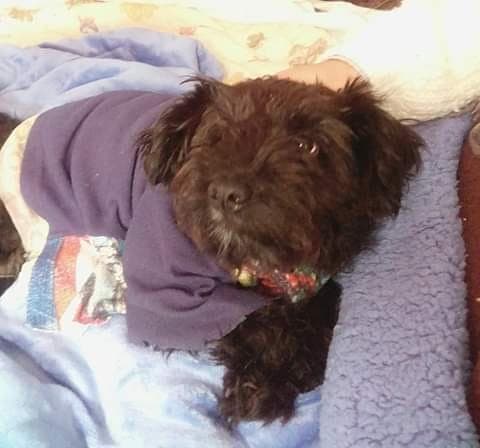 Foto cortesía de Lili Morales.