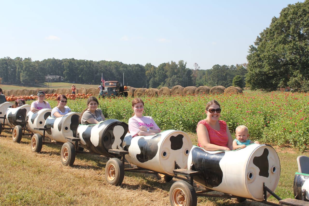 <a href="https://www.southernbellefarm.com/">Southern Belle Farms (McDonough)</a>. Esta es una granja familiar de 330 acres en McDonough con dos acres de calabazas, cuatro acres de laberinto de maíz y más de 20 atracciones al aire libre. Puedes pasear por la granja para encontrar tu calabaza perfecta e incluso pintar tu nueva calabaza en un área especial en la granja. El precio de la entrada incluye el laberinto de maíz, el paseo en carruaje, el tren de vacas, el cañón de maíz y muchas más actividades.
<br>
<br>
<b><a href="https://g.page/SouthernBelleFarmGA?share">Cómo llegar</a></b>