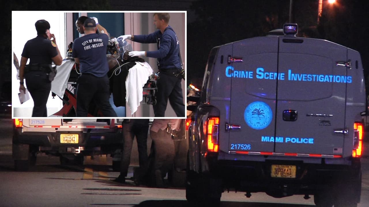 Tiroteo mortal en la Pequeña Haití: autoridades investigan las causas de este incidente