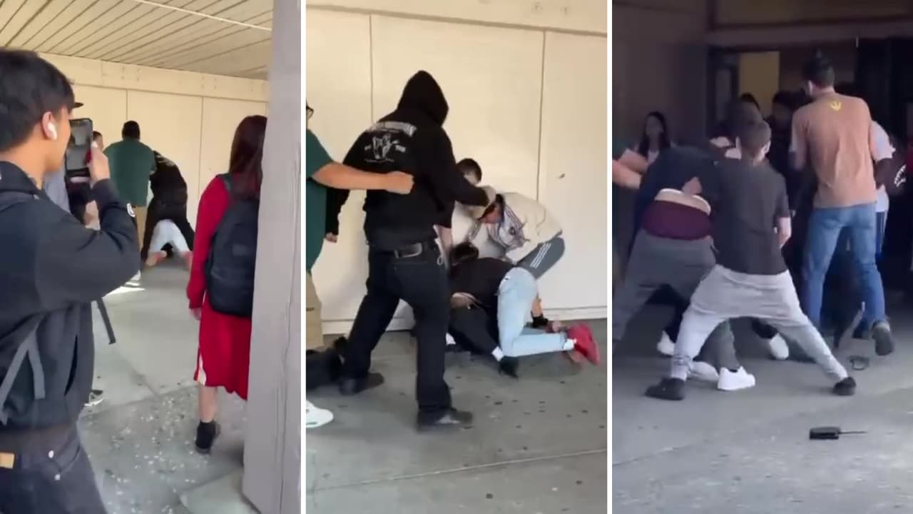 Preparatorias de San José sufren crisis de violencia escolar generalizada: la comunidad exige medidas