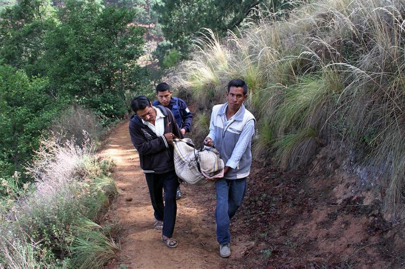 Asesinato de 11 personas en Puebla pudo deberse a conflictos personales, dice la fiscalía
