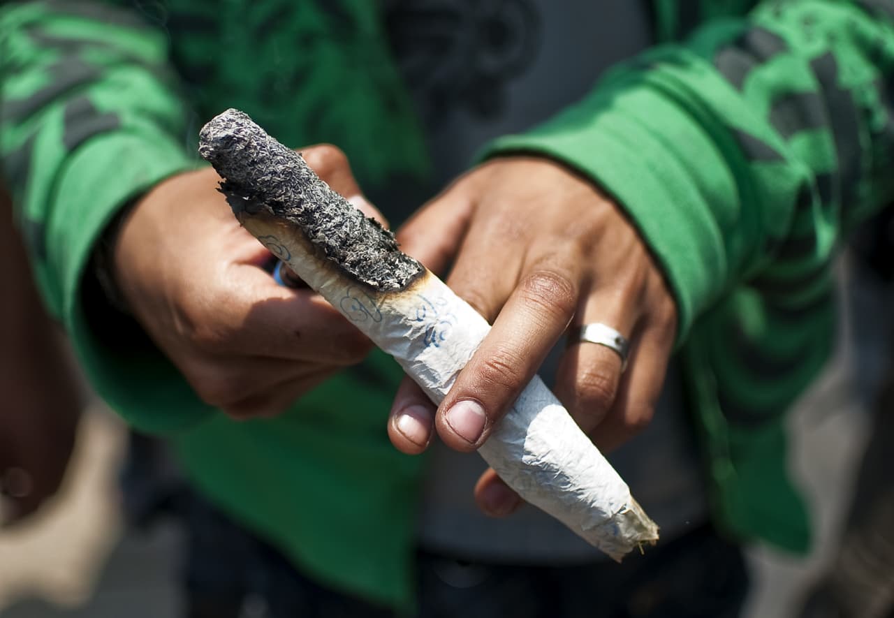 Nueva solicitud para cultivar marihuana en México