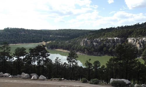 <h3 class="cms-H3-H3"><b>2.- Área de Protección de Flora y Fauna Papigochic</b></h3>
<br>
<b>Chihuahua</b>
<br> 
<br>La Comisión Nacional Forestal informó el pasado 10 de abril que tan solo en el estado de Chihuahua había 13 incendios forestales activos, uno de ellos es el que se encuentra en la reserva 
<b>Papigochic</b>, cerca del municipio de Bocoyna. Las autoridades señalaron que las condiciones de sequía y abundancia de hojarasca seca, en combinación con los fuertes vientos, han propagado las llamas, causando afectaciones en los bosques.