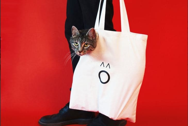 Abrirá primer "Cat-Café" al estilo japonés en Manhattan