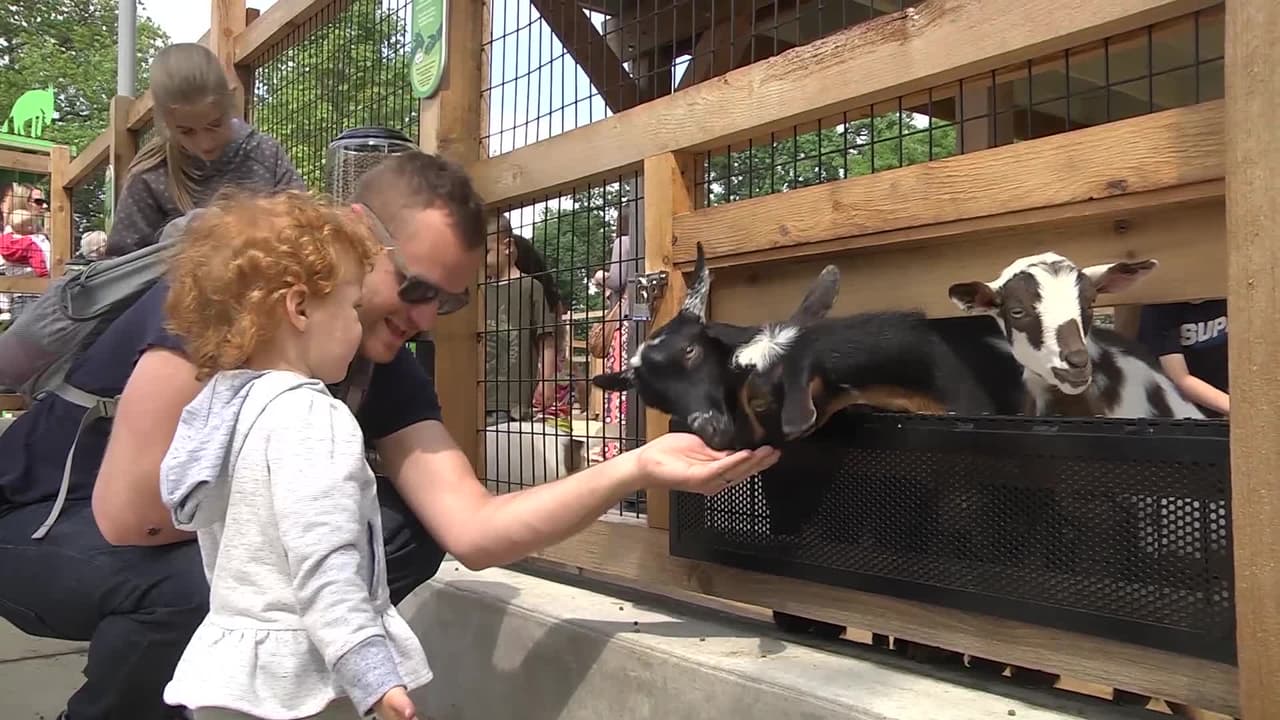 El zoológico de Brookfield ofrece días de admisión gratis para niños el mes de agosto 