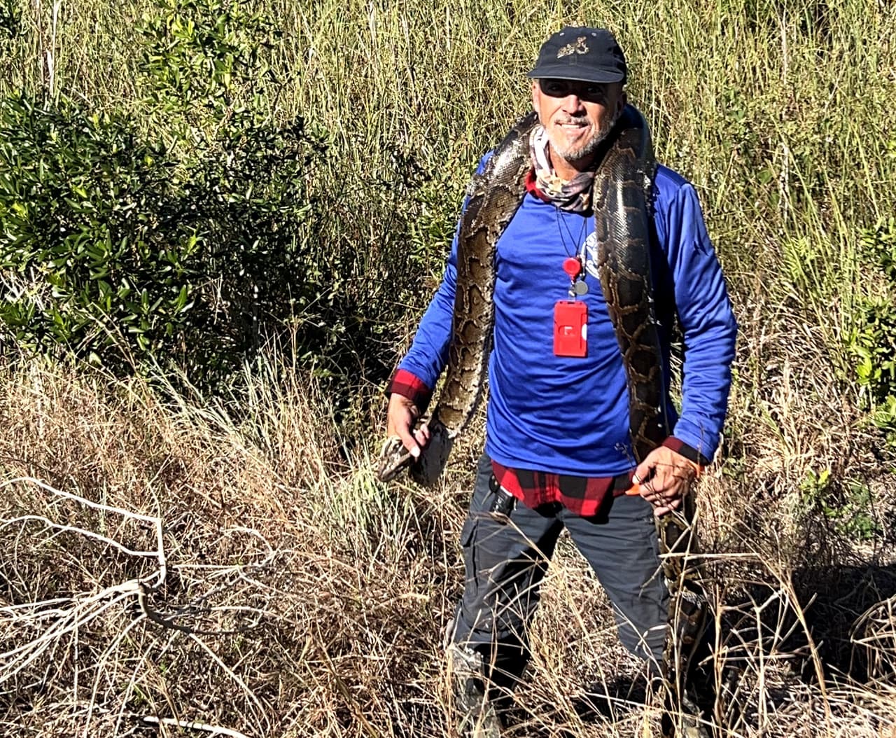 Leonardo Sánchez, cazador de pitones en los Everglades.