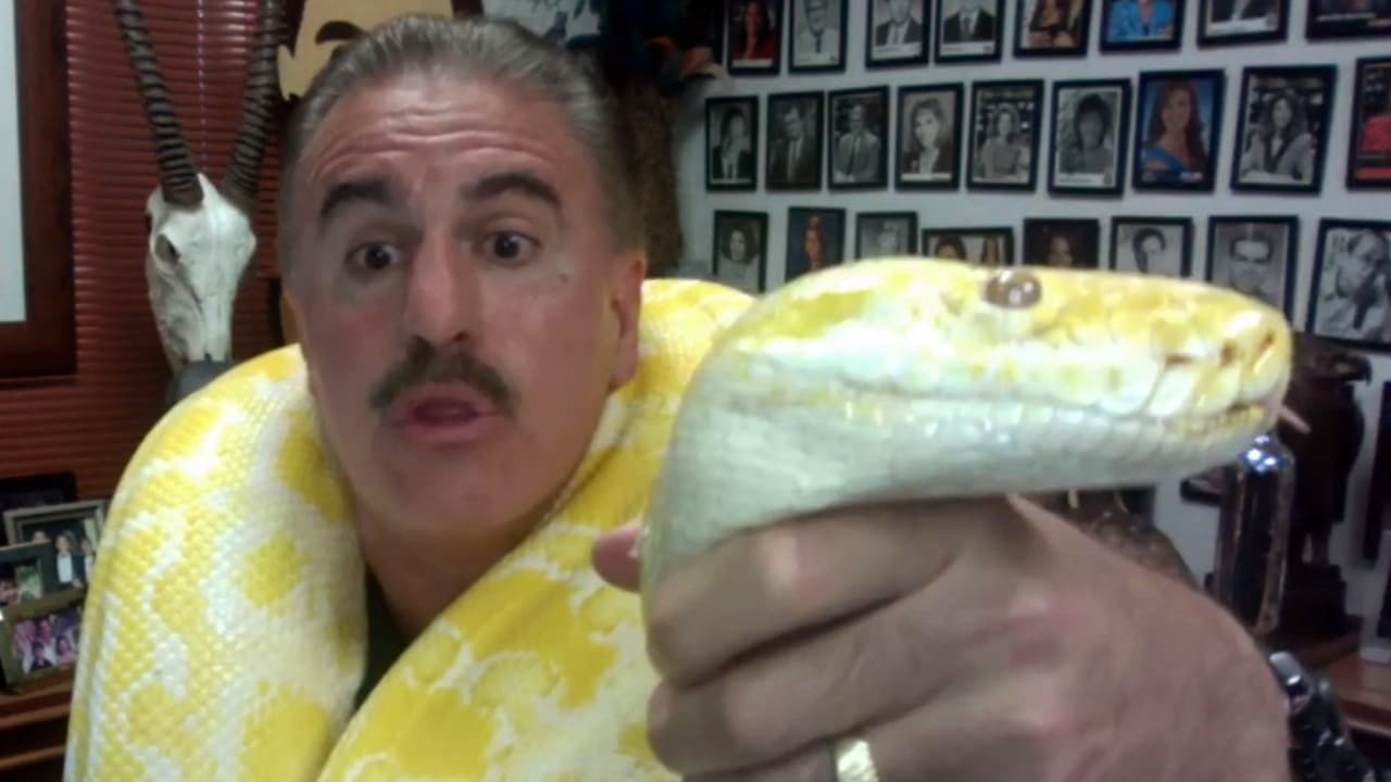 Datos curiosos sobre las pitones: Ron Magill nos sorprendió con una y aclaró varios mitos