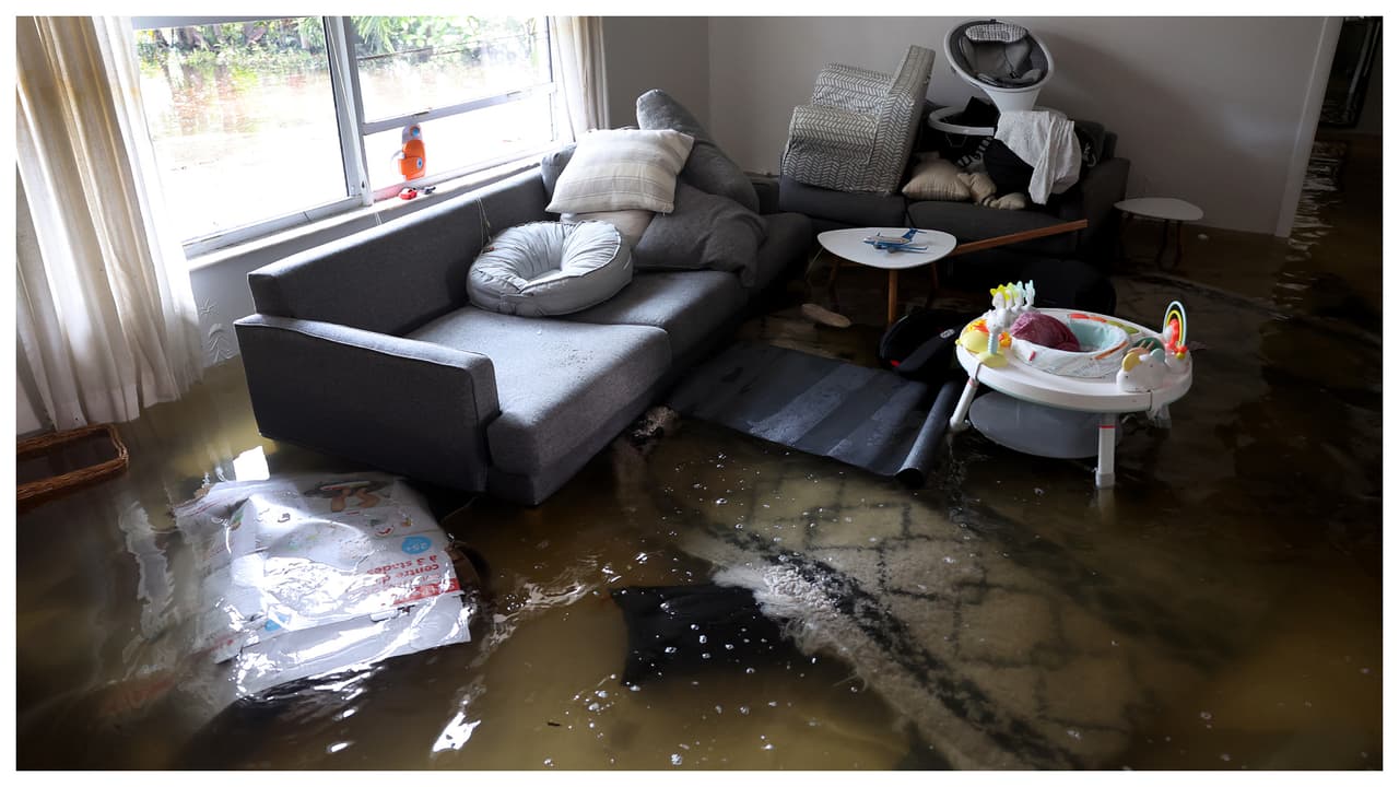 Opciones de pólizas de seguro de muebles, ropa y electrónicos a quienes viven en propiedades alquiladas