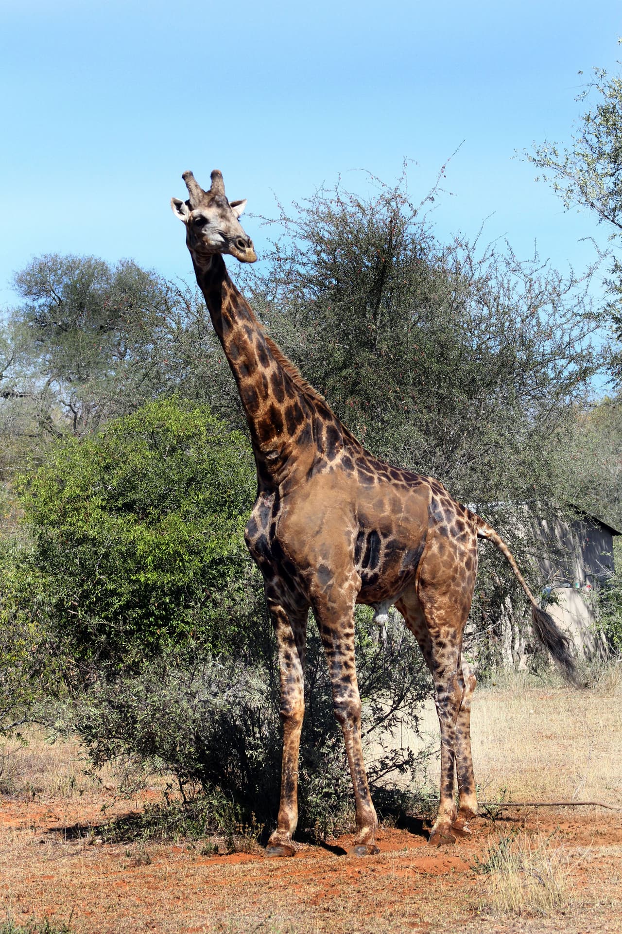 En algún momento, con todos concentrados, ¡finalmente lo lograron!