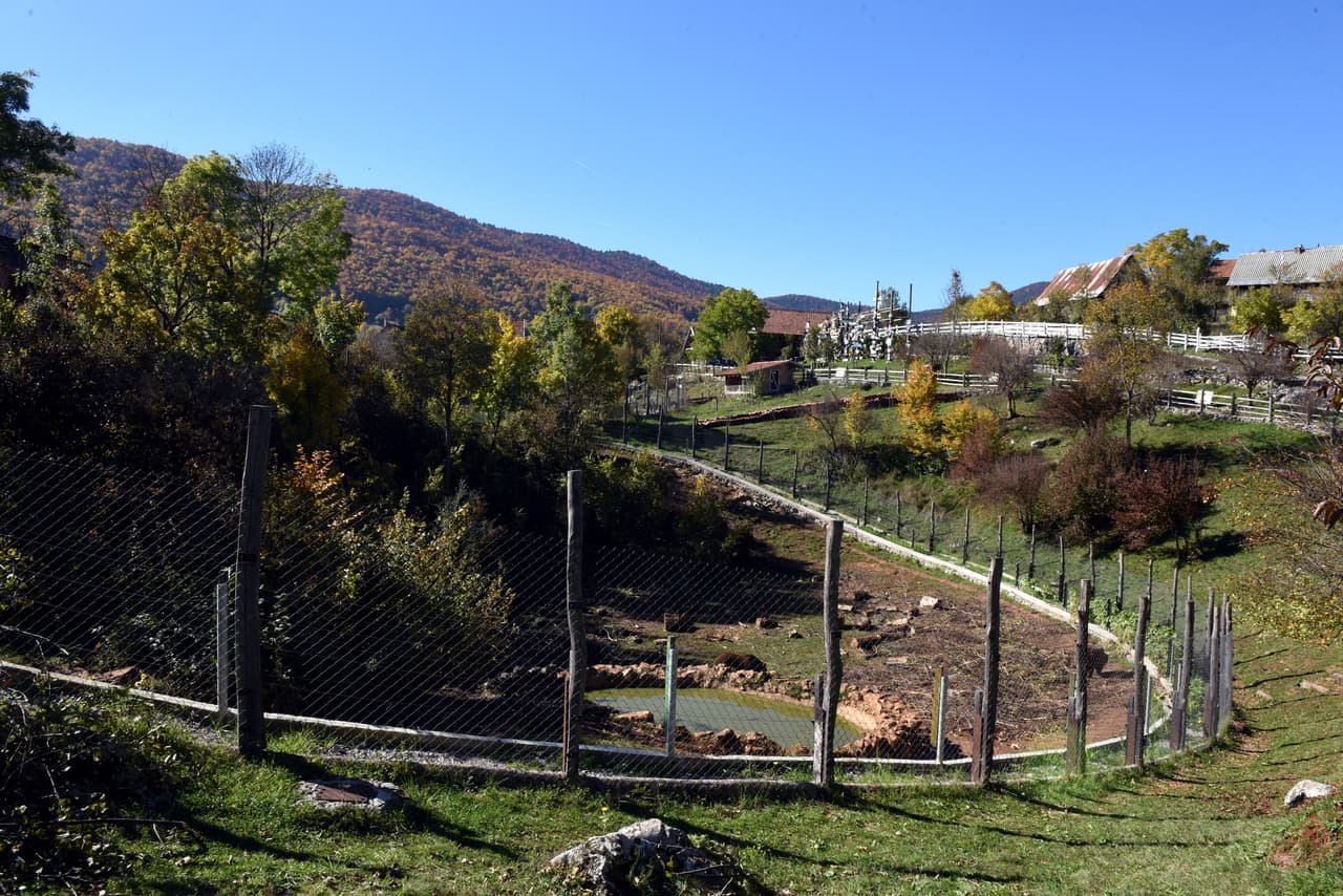 Actualmente, entre las actuales residentes se encuentra Mlada Gora, de 6 años, que fue encontrada cuando tenía 5 meses buscando comida cerca de una carretera después de que unos cazadores mataran a su madre.