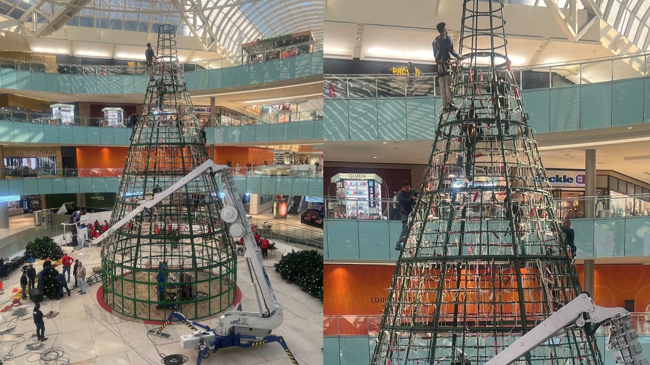 Durante cinco días, decenas de personas se encargaron de armar el inmenso árbol de Navidad.