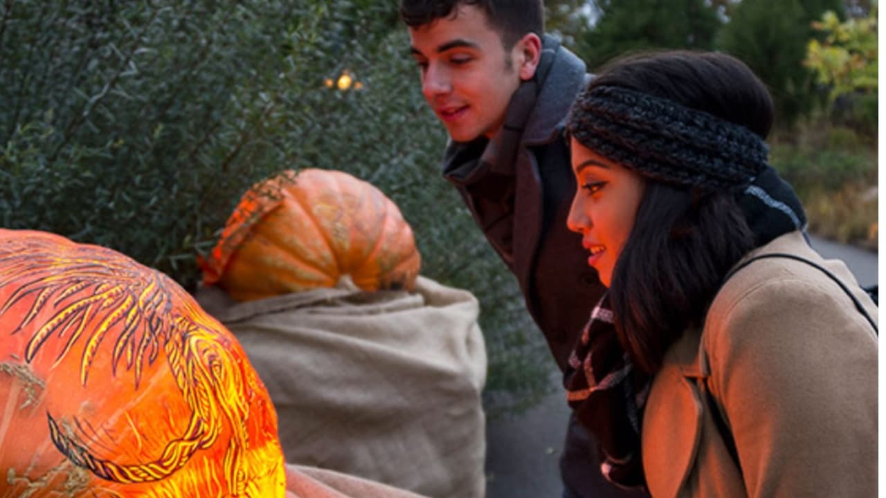 <b>Night of 1,000 Jack-O'-Lanterns</b>
<br>Este es el lugar donde podrás más de 1,000 calabazas con varios diseños, talladas a mano. El evento se llevará a cabo del 13 al 17 y del 20 al 24 de octubre. La 
<b><a href="https://www.chicagobotanic.org/halloween" target="_blank">Noche de los 1,000 Jack-o'-Lanterns</a></b> solo tiene calabazas reales. "Las calabazas destacadas -talladas por profesionales- incluyen imágenes de superhéroes, celebridades y guiños a Chicago", describen en su plataforma.