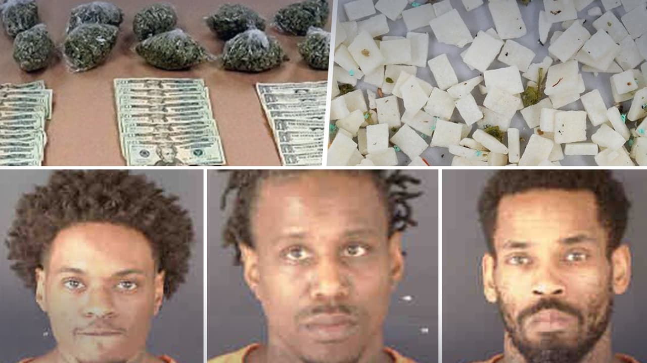 Cateo a vivienda de Sarasota deja 3 detenidos, decomiso de drogas y dinero 