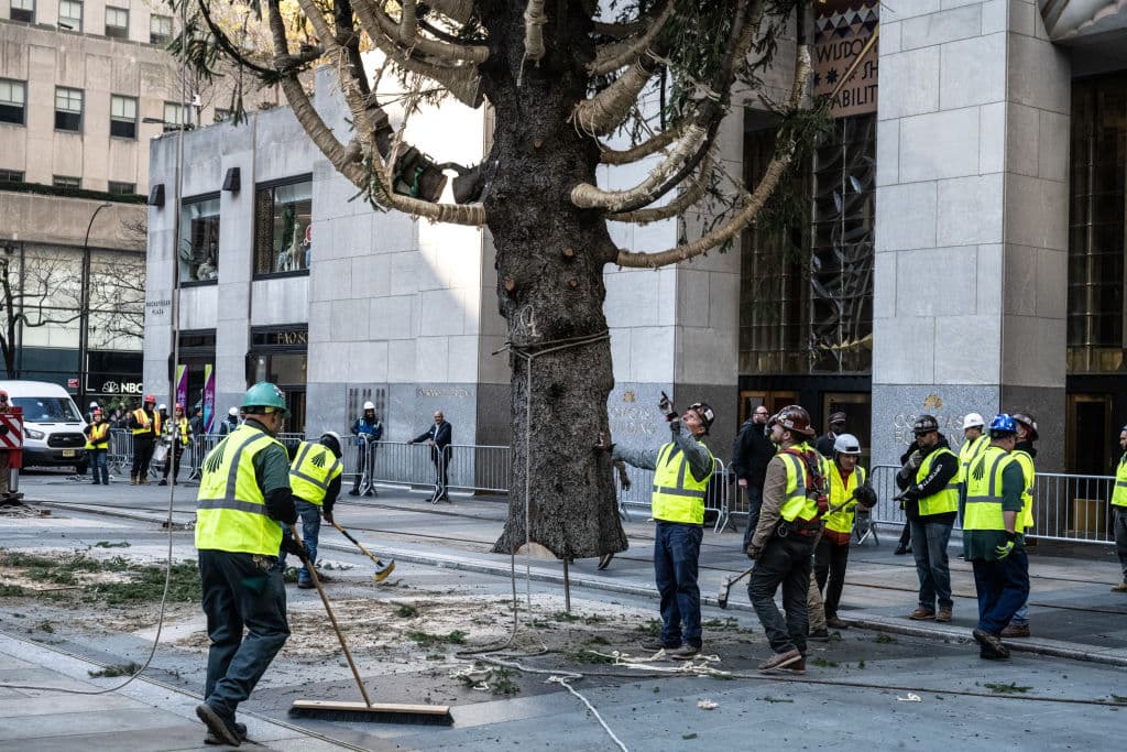 Aunque el evento del encendido del árbol de Navidad comienza a las 8:00 p.m., una multitud se congrega en la zona desde mucho antes.