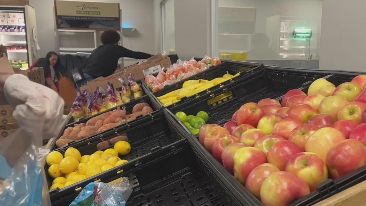 Organizaciones invitan a residentes de la Bahía de Tampa a ayudar a personas con inseguridad alimentaria