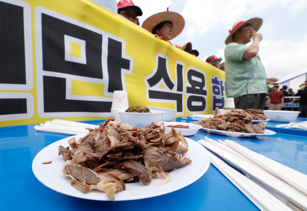 Las leyes de Corea del Sur no especifican si es legal o no el consumo de carne de perro, sin embargo, cientos de estos animales mueren cada año por la celebración de la tradición.
<br>