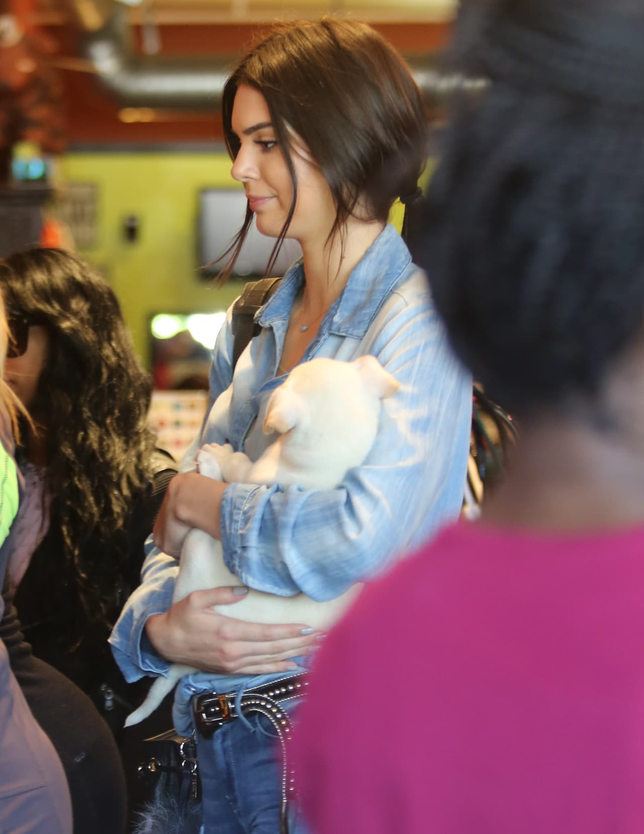 En definitiva, Kendall quería que ese animalito se uniera a la familia Kardashian.