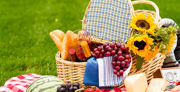 Cinco pasos para hacer un picnic exitoso