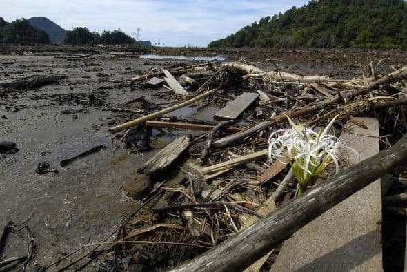 Una más de las consecuencias que pueden traer los devastadores terremotos son los tsunamis: olas gigantes que se apoderan del territorio remecido, haciendo aun mayor la desgracia.