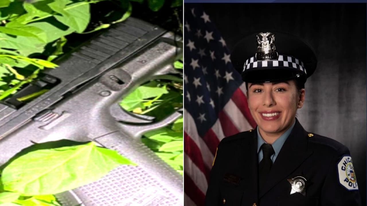 Habitante de Indiana enfrenta cargos federales relacionados con asesinato de la oficial Ella French en Chicago