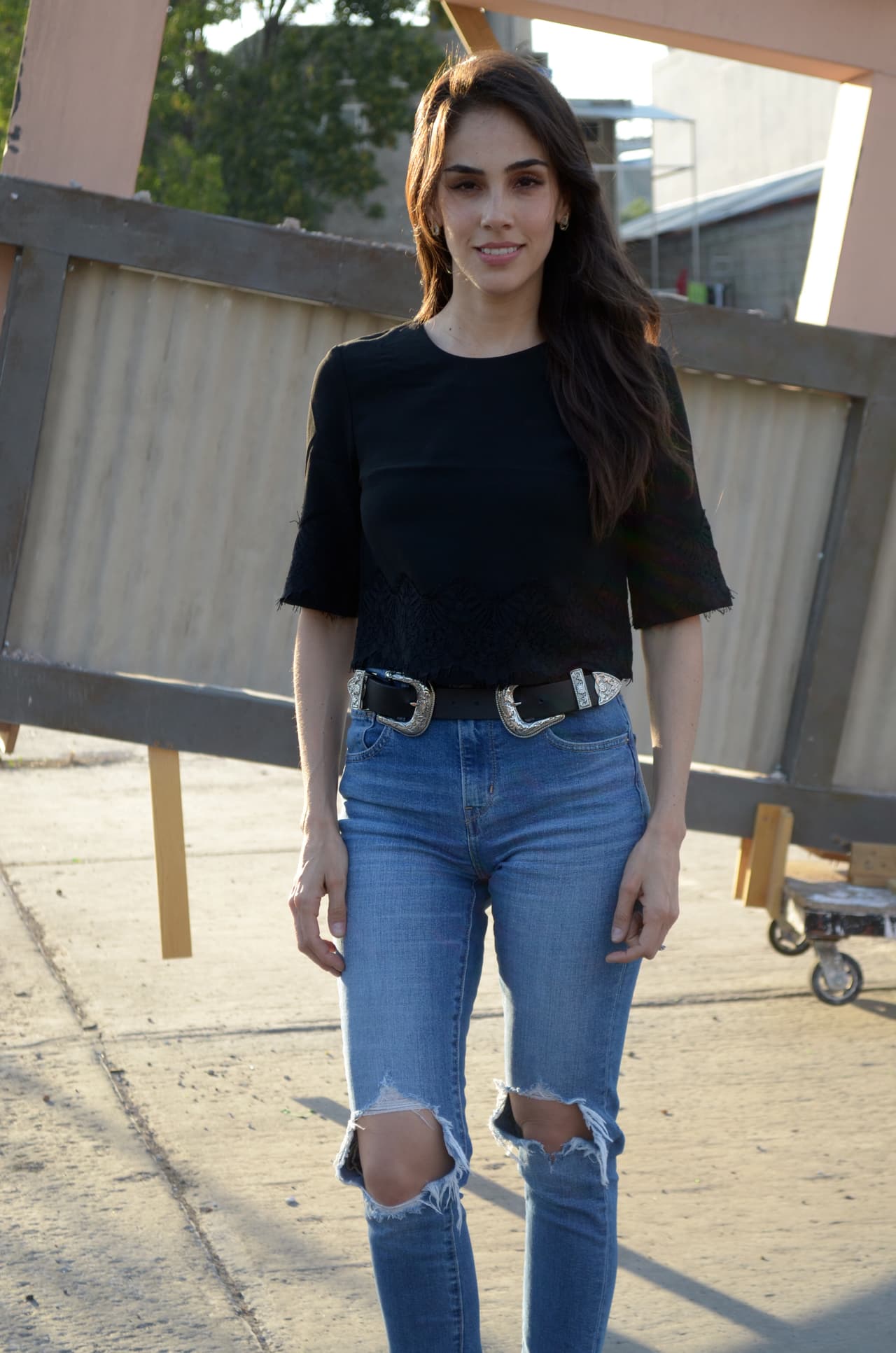 La trama tendrá una serie de modificaciones con respecto al proyecto original, pues en ésta Paola no estará casada con un empresario, sino con el presidente de México.