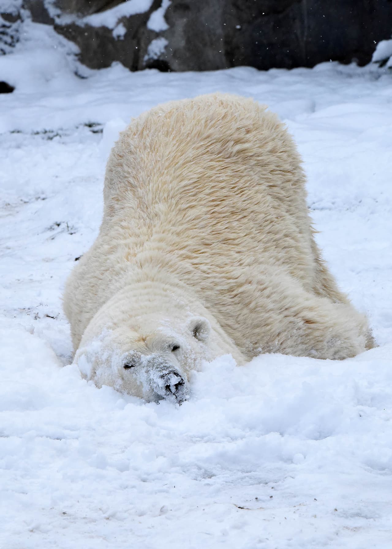 Los termómetros marcaban 20 grados y la sensación térmica era de solo un dígito, por lo que Nan estaba en su elemento.