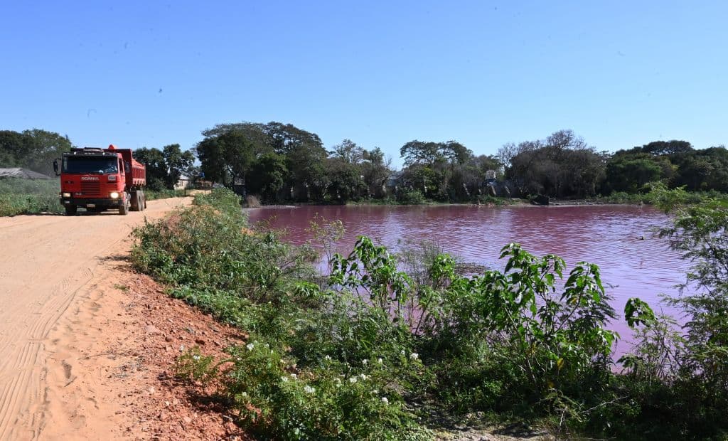 "Por suerte", añadió la experta, el pequeño lago no tiene conexión con los demás espejos de agua que existen en la zona por la larga sequía que aqueja a la región, que redujo a niveles críticos el nivel normal del río Paraguay, por donde circulan unas 3,000 barcos y barcazas que unen los puertos de Paraguay, Bolivia, Brasil y Argentina.