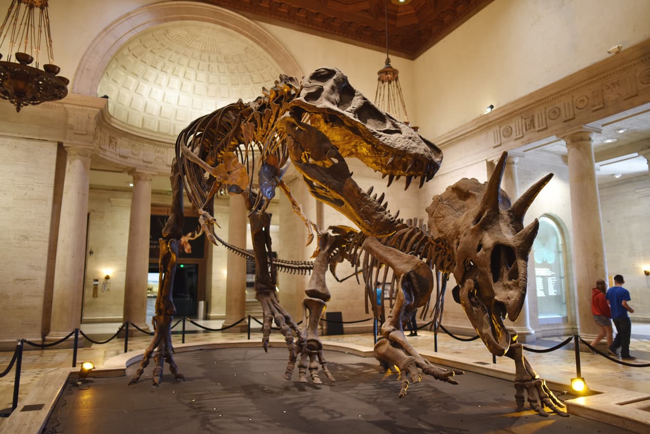 <h3 class="cms-H3-H3"><b>11. Natural History Museum of Los Angeles County (empate)</b></h3>
<br>
<br>
<b>Ubicación: </b>Los Ángeles, CA
<br>
<b>Tarifa de estacionamiento por día:</b> 15 dólares