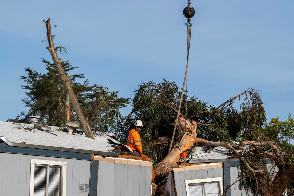 Los trabajadores retiran un árbol de gran tamaño que cayó sobre una casa móvil en Seaside, California.