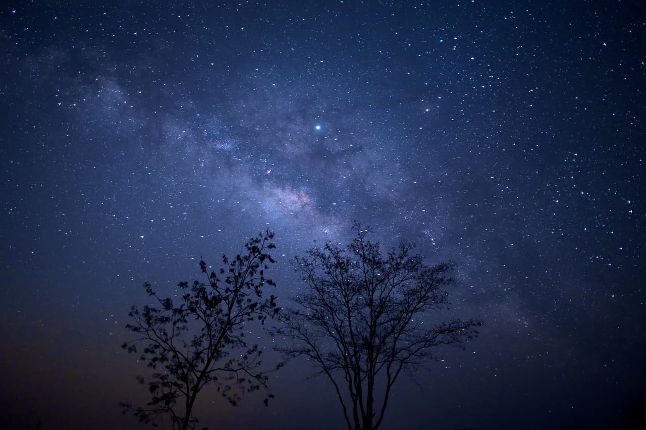 Cada año se celebra el Festival de Luces de Marfa, uno de los eventos más populares del pequeño poblado, con música en vivo, comida, y un desfile. El área para ver las luces se ubica a 9 millas al este del pueblo por la carretera US 90 hacia Alpine. Sin embargo, este año el festival fue cancelado debido a la pandemia del coronavirus.