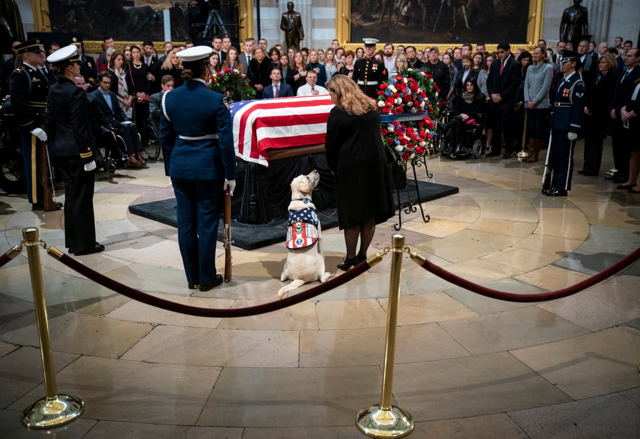 WASHINGTON, DC - DECEMBER 4: Sully, a yellow Labrador service dog for former President George H. W. Bush, sits near the casket of the late former President George H.W. Bush as he lies in state at the U.S. Capitol, December 4, 2018 in Washington, DC. A WWII combat veteran, Bush served as a member of Congress from Texas, ambassador to the United Nations, director of the CIA, vice president and 41st president of the United States. Bush will lie in state in the U.S. Capitol Rotunda until Wednesday morning. (Photo by Drew Angerer/Getty Images)