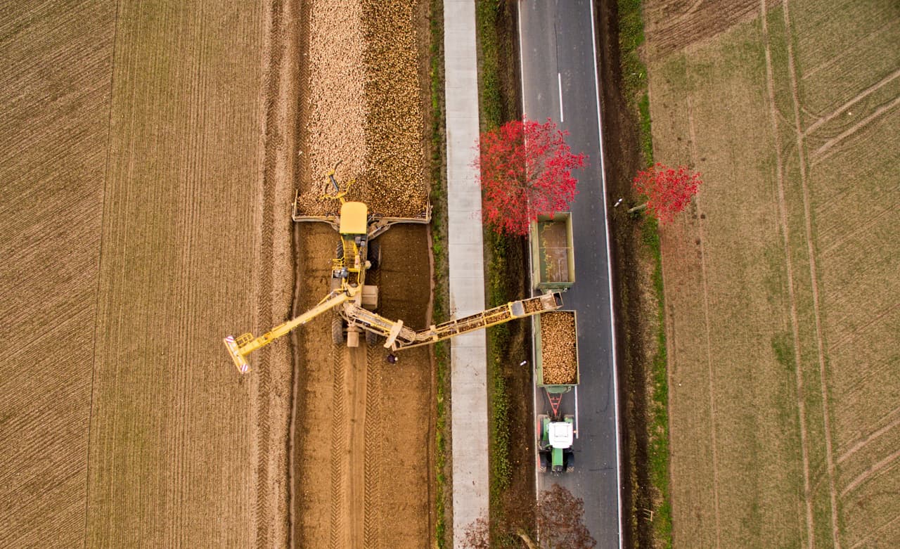 Una de las actividades que más transforma la faz de la Tierra es la agricultura. Un análisis de imágenes satelitales hecho por la Universidad de Wisconsin-Madison asegura que el 40% de la superficie de la tierra está cubierto por cultivos agrícolas. Además, según la FAO, la agricultura es responsable de casi la mitad de las emisiones de metano globales. Aunque persiste en la atmósfera durante un tiempo más corto, el metano es aproximadamente 20 veces más potente que el dióxido de carbono en su acción de calentamiento global. Este es un cultivo de remolacha para hacer azúcar en Pattensen, en la región de Hannover ubicada en Alemania central. (Foto de noviembre 2015)