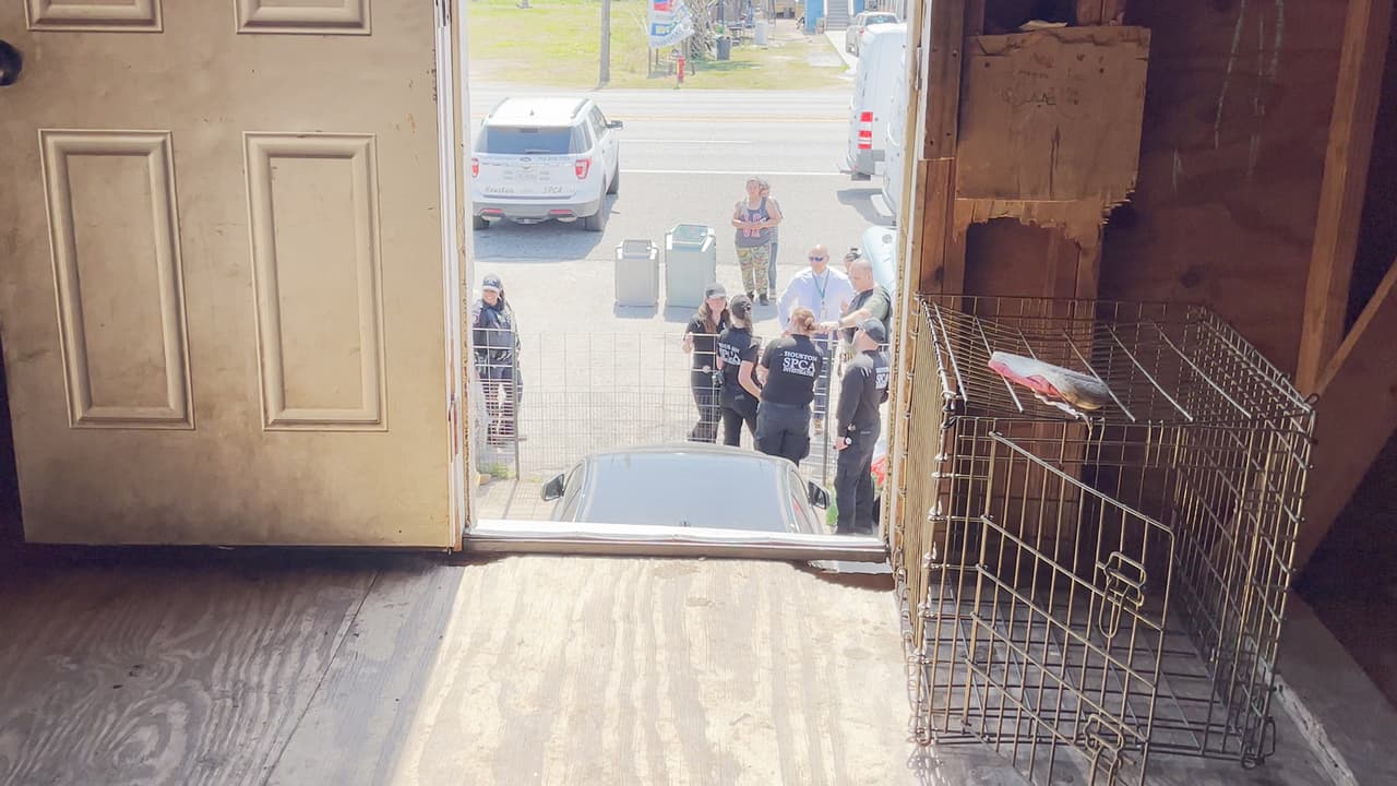 El segundo rescate se llevó a cabo en una casa de dos pisos en el área de Hitchcock.