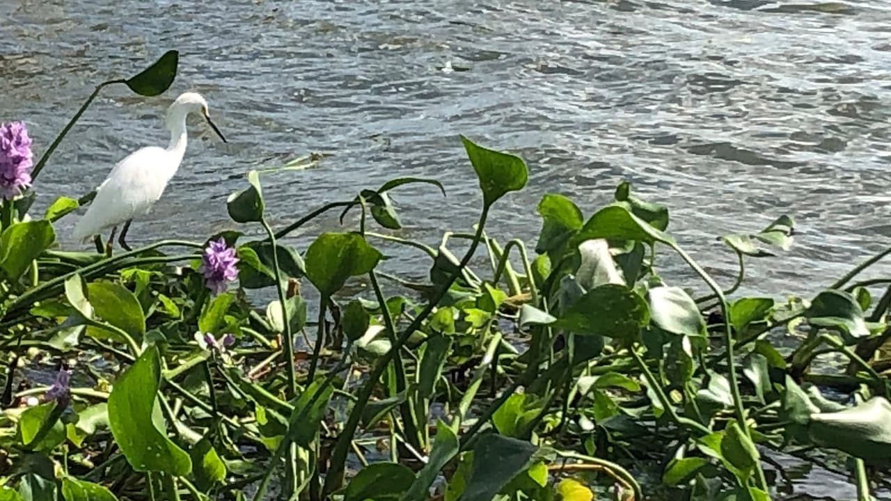 La naturaleza en todo su esplendor. Alista tu cámara para retratar paisajes marinos.
