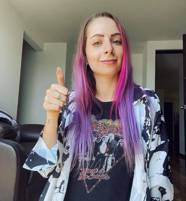 De acuerdo al código penal mexicano, la descripción que hizo 'YosStop' en su canal constituye parte del delito por el que se le acusa. 
<br>