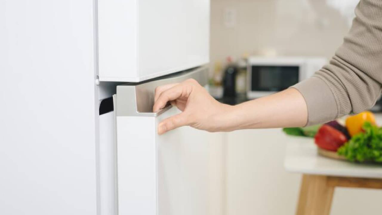 <b>Mantén el refrigerador cerrado</b>
<br>En caso de un apagón, no abras el refrigerador hasta que regrese la energía, de esta manera podrá conservar el frío más tiempo al interior y ayudará a que los alimentos se mantengan en buen estado por varias horas.