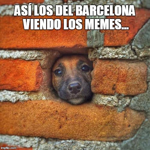 Los fans se burlan de la eliminación del Barcelona de la Champions